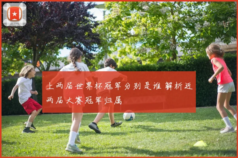 上两届世界杯冠军分别是谁 解析近两届大赛冠军归属