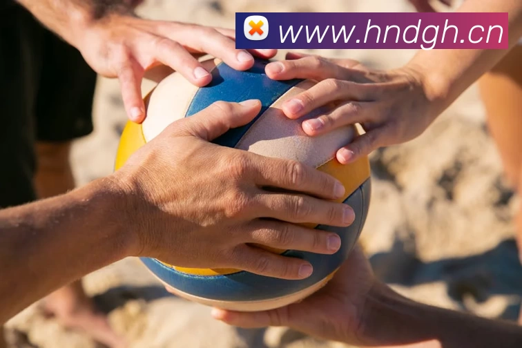 多媒体互动体验